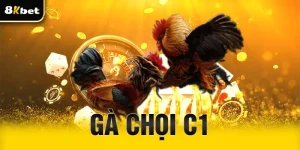 Gà chọi C1
